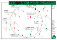 Voltigieren M-/S-Pflicht – Einzel