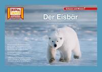 Der Eisbär / Kamishibai Bildkarten