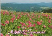 Ansichtskarte Meißner-Germerode 