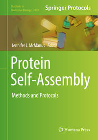 Protein Self-Assembly