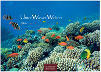Unterwasserwelten Kalender 2026 – Wandkalender | Fotokalender Naturkalender 24x35cm – Atemberaubende Meereslandschaften & Korallenriffe.