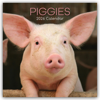 Piggies – Ferkel Schweine 2026 – 16-Monatskalender