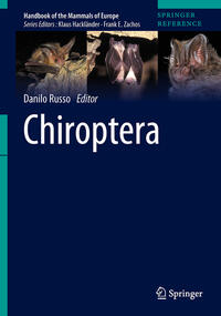 Chiroptera