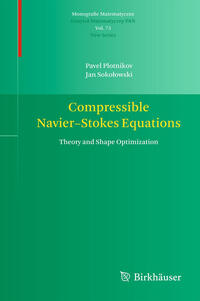 Compressible Navier-Stokes Equations