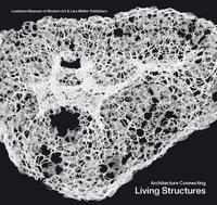 Architecture Connecting