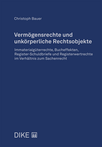 Vermögensrechte und unkörperliche Rechtsobjekte