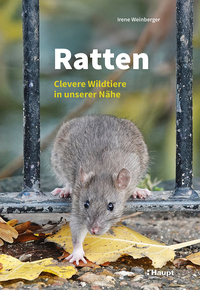 Ratten