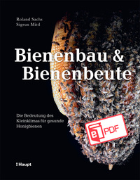 Bienenbau und Bienenbeute