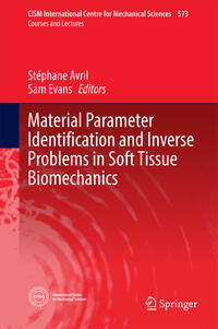 Material Parameter Identification and Inverse Problems in Soft Tissue Biomechanics