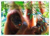 Orang Utans - Sumatras sanfte Waldmenschen (Wandkalender 2024 DIN A3 quer), CALVENDO Monatskalender