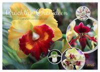 Prächtige Orchideen (Wandkalender 2025 DIN A2 quer), CALVENDO Monatskalender