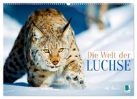 Die Welt der Luchse (Wandkalender 2025 DIN A2 quer), CALVENDO Monatskalender