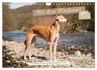 Mit dem Windhund unterwegs im zauberhaften Bergischen Land (Wandkalender 2025 DIN A4 quer), CALVENDO Monatskalender
