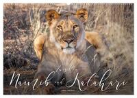Zwischen Namib und Kalahari (Wandkalender 2025 DIN A2 quer), CALVENDO Monatskalender