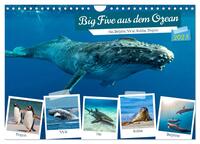 Big Five aus dem Ozean Hai, Delphin, Wal, Robbe, Pinguin (Wandkalender 2025 DIN A4 quer), CALVENDO Monatskalender