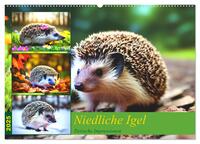 Niedliche Igel (Wandkalender 2025 DIN A2 quer), CALVENDO Monatskalender