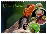 Kleine Drachen - Echsen (Wandkalender 2025 DIN A2 quer), CALVENDO Monatskalender
