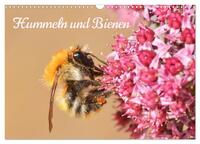 Hummeln und Bienen (Wandkalender 2025 DIN A3 quer), CALVENDO Monatskalender