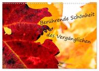 Berührende Schönheit des Vergänglichen (Wandkalender 2025 DIN A3 quer), CALVENDO Monatskalender