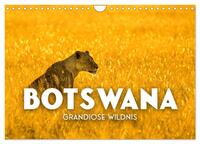 Botswana - Grandiose Wildnis (Wandkalender 2025 DIN A4 quer), CALVENDO Monatskalender