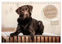 Labrador Retriever - Vielfalt auf Vier Pfoten (Tischkalender 2025 DIN A5 quer), CALVENDO Monatskalender