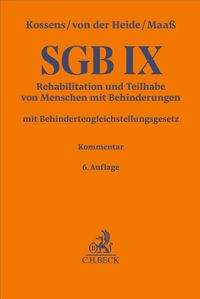 SGB IX