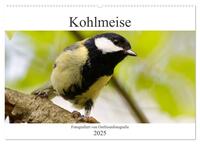 Kohlmeise - Fotografiert von Ostfriesenfotografie (Wandkalender 2025 DIN A2 quer), CALVENDO Monatskalender