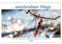 Unscheinbare Dinge (Wandkalender 2025 DIN A4 quer), CALVENDO Monatskalender