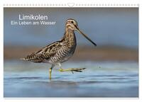 Limikolen - Ein Leben am Wasser (Wandkalender 2025 DIN A3 quer), CALVENDO Monatskalender