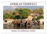 Afrikas Tierwelt, Safari im südlichen Afrika (Wandkalender 2025 DIN A4 quer), CALVENDO Monatskalender