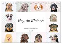 Hey, du Kleiner! (Tischkalender 2025 DIN A5 quer), CALVENDO Monatskalender