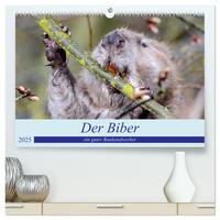 Der Biber, ein guter Bauhandwerker (hochwertiger Premium Wandkalender 2025 DIN A2 quer), Kunstdruck in Hochglanz