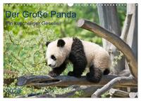 Der Große Panda Ein kuscheliger Geselle (Wandkalender 2025 DIN A3 quer), CALVENDO Monatskalender