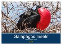 Tierwelt auf Galapagos (Wandkalender 2025 DIN A4 quer), CALVENDO Monatskalender