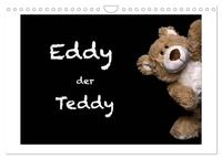 Eddy, der Teddy (Wandkalender 2025 DIN A4 quer), CALVENDO Monatskalender