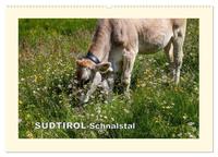 SÜDTIROL-Schnalstal (Wandkalender 2025 DIN A2 quer), CALVENDO Monatskalender