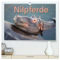 Nilpferde, Kolosse im Wasser (hochwertiger Premium Wandkalender 2025 DIN A2 quer), Kunstdruck in Hochglanz