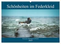 Schönheiten im Federkleid - Heimische Wildvögel im Portrait (Wandkalender 2025 DIN A2 quer), CALVENDO Monatskalender