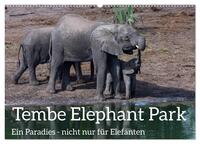 Tembe Elephant Park. Ein Paradies - nicht nur für Elefanten (Wandkalender 2025 DIN A2 quer), CALVENDO Monatskalender