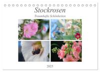 Stockrosen - Traumhafte Schönheiten (Tischkalender 2025 DIN A5 quer), CALVENDO Monatskalender