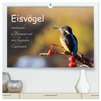 Eisvögel - emotionale Momente mit den fliegenden Edelsteinen (hochwertiger Premium Wandkalender 2025 DIN A2 quer), Kunstdruck in Hochglanz