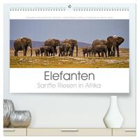 Elefanten - Sanfte Riesen in Afrika (hochwertiger Premium Wandkalender 2025 DIN A2 quer), Kunstdruck in Hochglanz