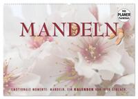 Emotionale Momente: Mandeln (Wandkalender 2025 DIN A2 quer), CALVENDO Monatskalender
