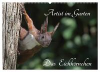 Artist im Garten. Das Eichhörnchen (Wandkalender 2025 DIN A2 quer), CALVENDO Monatskalender