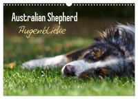 Australian Shepherd - Augenblicke (Wandkalender 2025 DIN A3 quer), CALVENDO Monatskalender