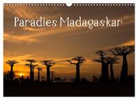 Paradies Madagaskar (Wandkalender 2025 DIN A3 quer), CALVENDO Monatskalender