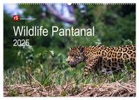 Wildlife Pantanal 2025 (Wandkalender 2025 DIN A2 quer), CALVENDO Monatskalender