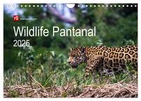 Wildlife Pantanal 2025 (Wandkalender 2025 DIN A4 quer), CALVENDO Monatskalender