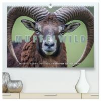 Emotionale Momente: Muffelwild. (hochwertiger Premium Wandkalender 2025 DIN A2 quer), Kunstdruck in Hochglanz