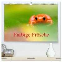 Farbige Frösche (hochwertiger Premium Wandkalender 2025 DIN A2 quer), Kunstdruck in Hochglanz